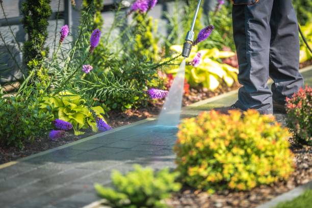 Best Patio and Deck Pressure Washing  in Liberty Triangle, FL